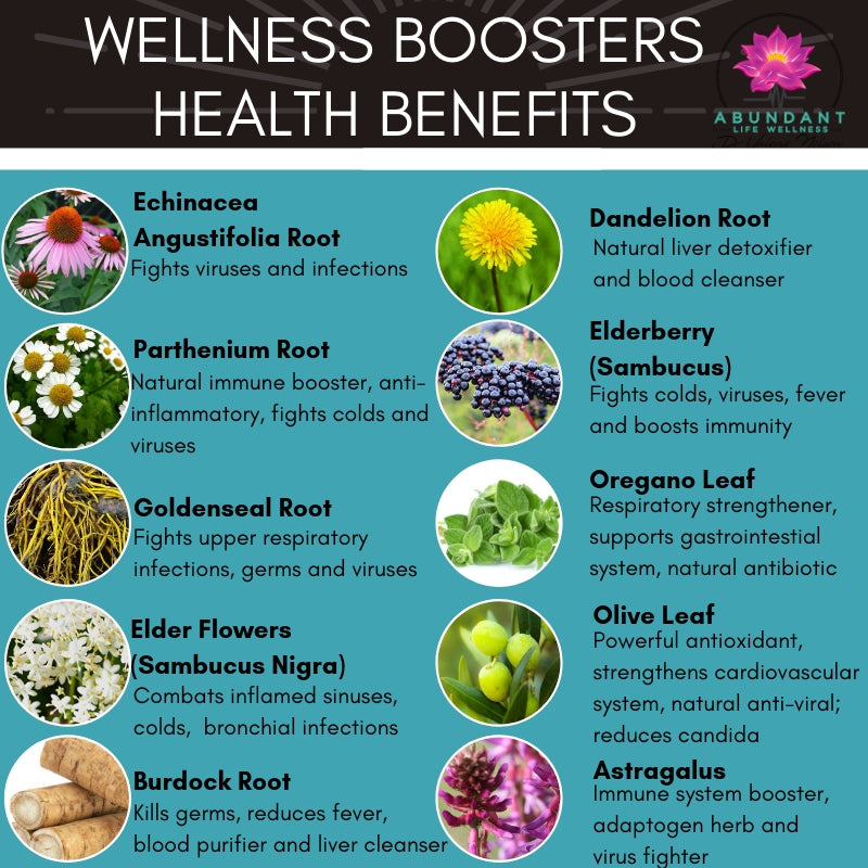 Wellness Booster - All Natural Herbal Immune System Strengthener ...